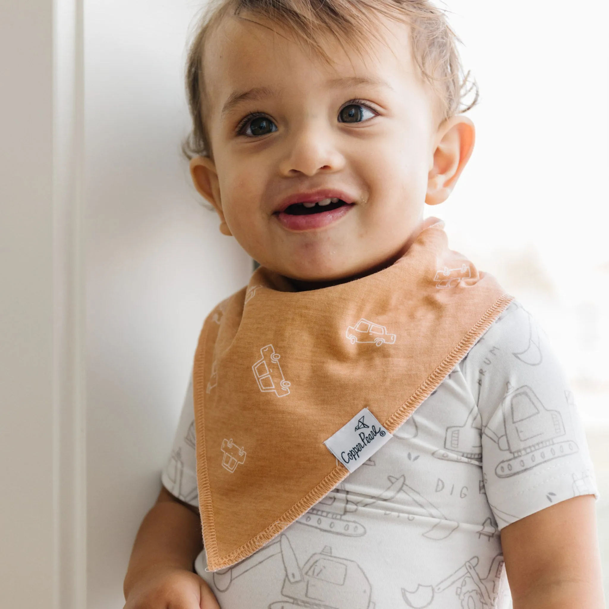 Baby Bandana Bibs - Gage