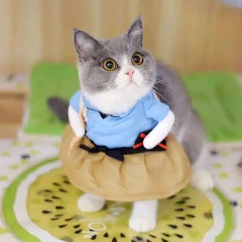 Cat Dress Costume