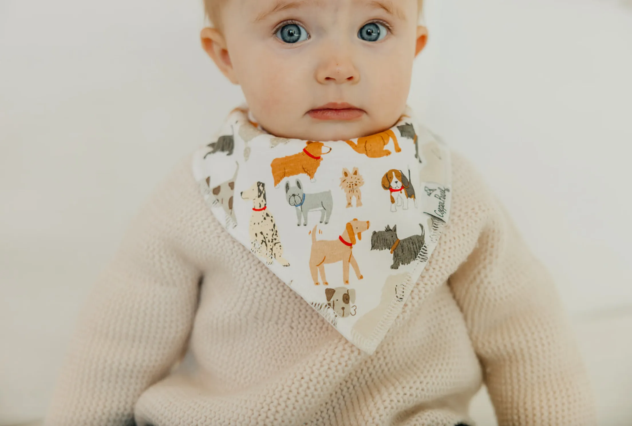 Copper Pearl Rufus Dog Baby Bandana Bib Set (4 Pack)