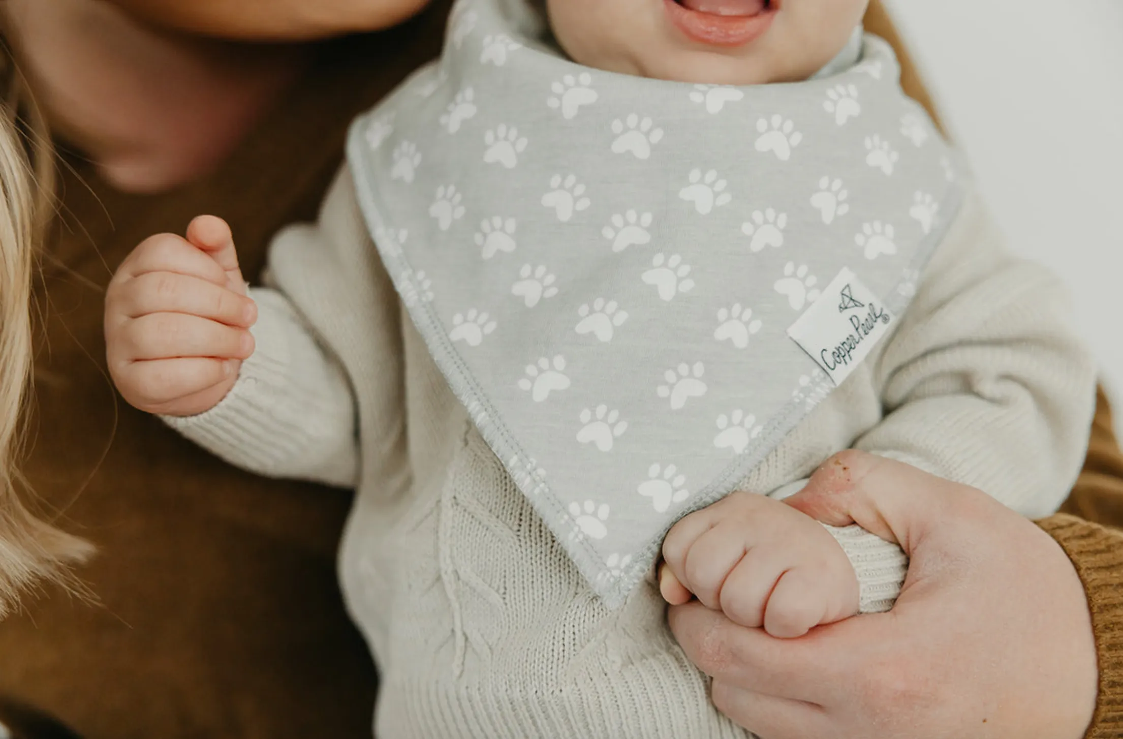 Copper Pearl Rufus Dog Baby Bandana Bib Set (4 Pack)
