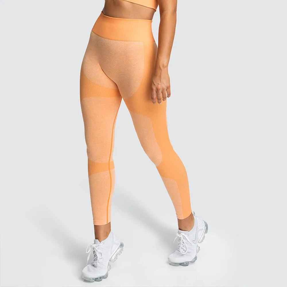High Waist Athletic Seamless Yoga Leggings-Stretch Sports Bra