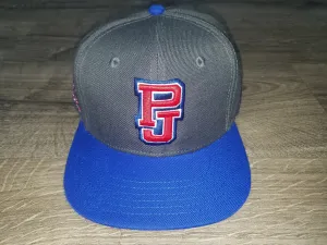 Pearl Jam Wrigley Field World Tour Black Blue Hat August 2018 Shows Never Worn