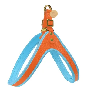 PoisePup - STEP-IN HARNESS - VIBRANT SUNSET