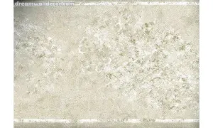 Scattered Sandy Norwall NTX79282B Wallpaper Border
