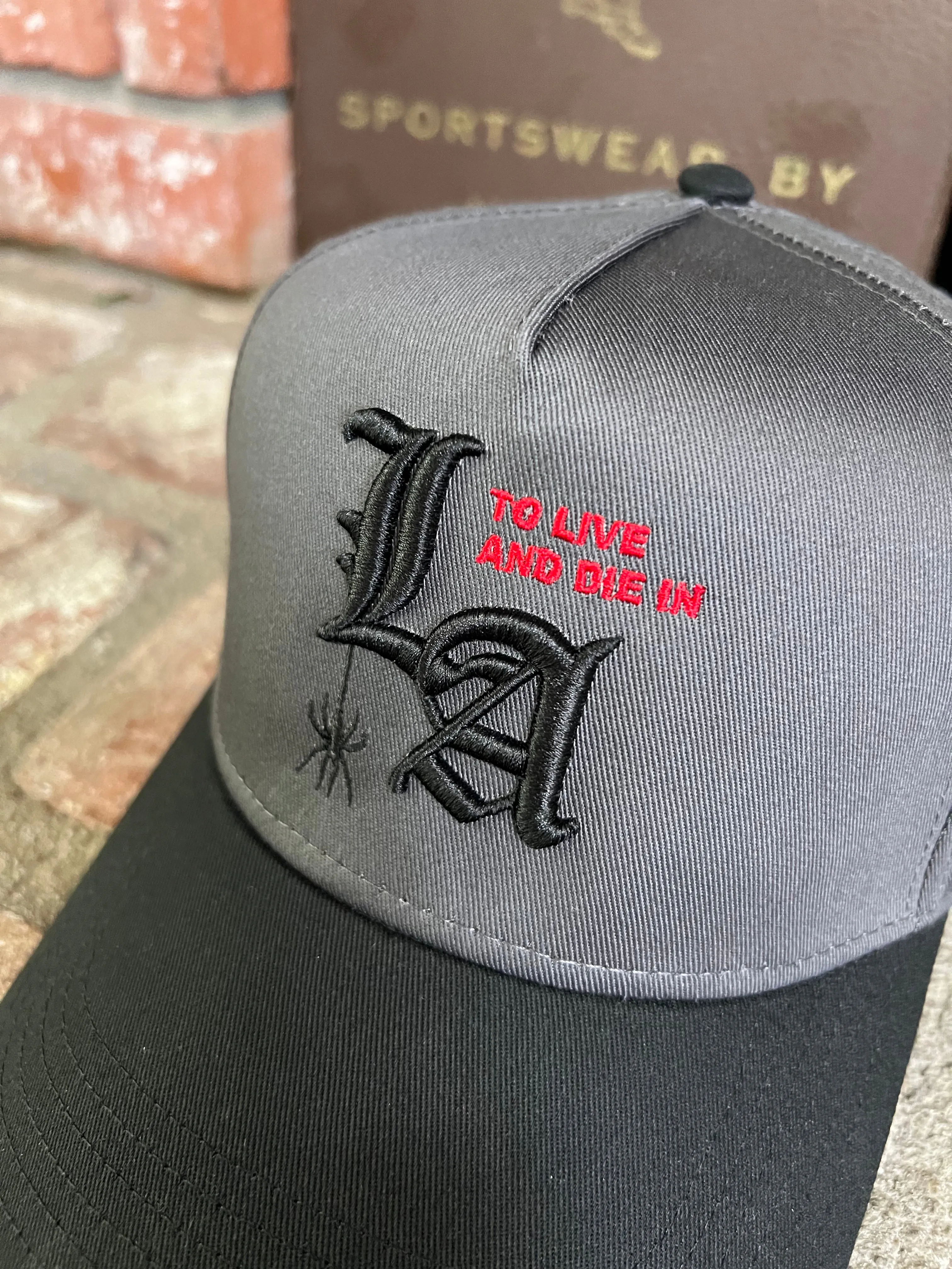 To live and Die in LA 5 Panel Snap Back Cap in Dark Gray/Black