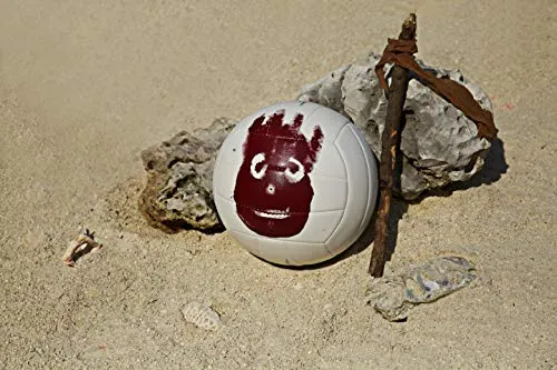 Wilson Cast Away Volleyball (WTH4615)