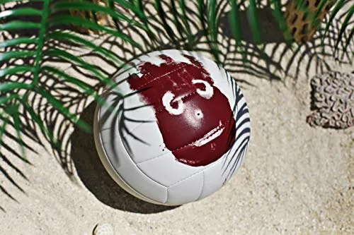 Wilson Cast Away Volleyball (WTH4615)