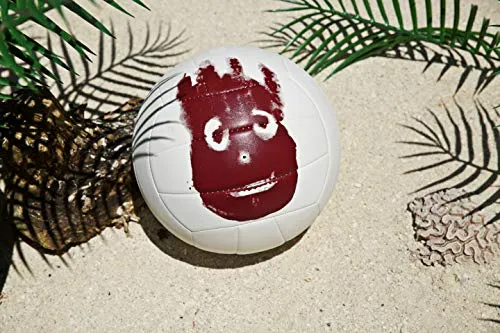 Wilson Cast Away Volleyball (WTH4615)