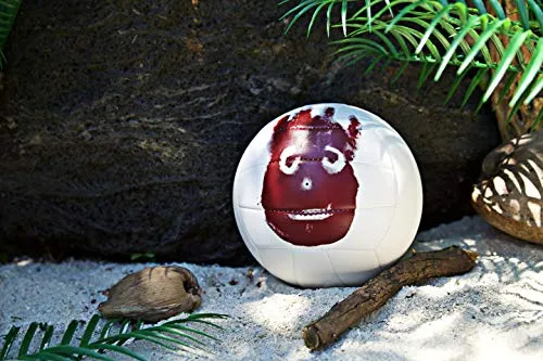 Wilson Cast Away Volleyball (WTH4615)